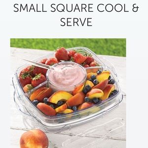 Pampered chef small cool n serve platter